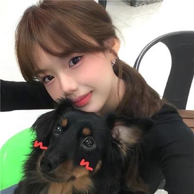 被炉、蜜桔和小猫