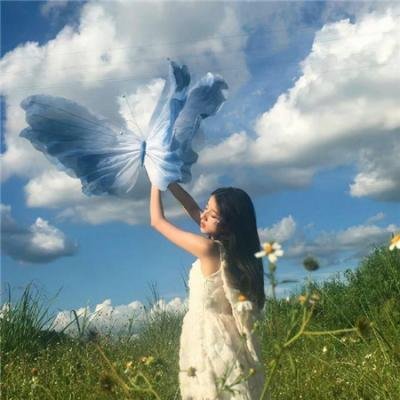 帕奥精神:凤凰高飞