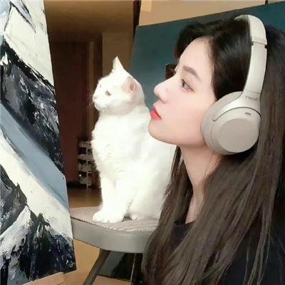 极地漫步
